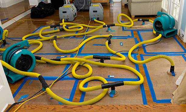 Professional Water Damage Restoration technician working in Santa Fe, TX